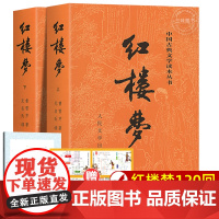 红楼梦原著正版上下2册 曹雪芹著 原版无删减四大名著白话文文言文初高中生青少年中小学生课外阅读书籍人民文学出版社