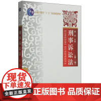 正版 刑事诉讼法(第二版2版)刘玫 主编 中国政法大学出版社 9787562056263