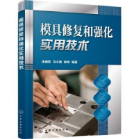 音像模具修复和强化实用技术汪瑞军,马小斌,徐林