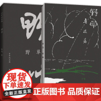 正版 野草初版百年纪念版鲁迅亲定的传世母本鲁迅亲自编定孙福熙绘封面的传世母本文学名家作品书籍23篇散文诗现当代文学书