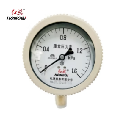 膜盒压力表定制检测款YE100