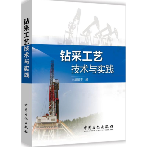 醉染图书钻采工艺技术与实践9787511438249