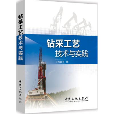 醉染图书钻采工艺技术与实践9787511438249