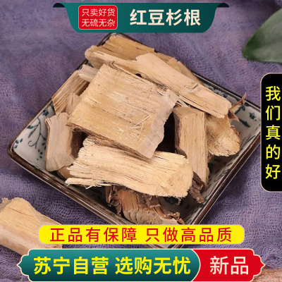 甄选红豆杉根100克正品新货干货红豆杉树根段正品另有红豆杉皮红豆杉叶