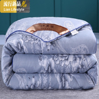 加厚保暖被子冬被丝棉被空调春秋被单人床双人冬季棉被芯被褥冬天 三维工匠
