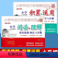 小学[阅读与理解+积累与运用]2本 小学通用 [正版]68所百校联盟直击小升初文言文古诗文阅读与理解积累与运用专项训练名