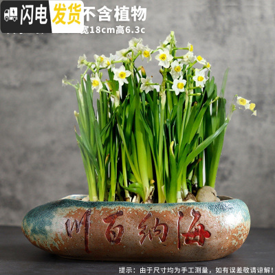 三维工匠水仙花盆陶瓷无孔水培容器铜钱碗莲一叶莲植物盆特大号 款式12 中等花盆容器