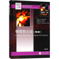 音像铜提取冶金(美)马克·施莱辛格(Mark E.Schlesinger) 等 著