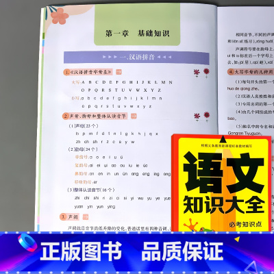语文知识大全 小学生专项训练1-6年级通用 小学通用 [正版]小学语文知识大全数学公式英语语法作文写作技巧小学生专项训练