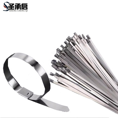 圣承启 不锈钢金属扎带 16*350mm根