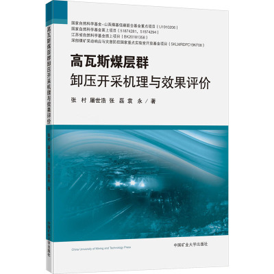 高瓦斯煤层群卸压开采机理与效果评价